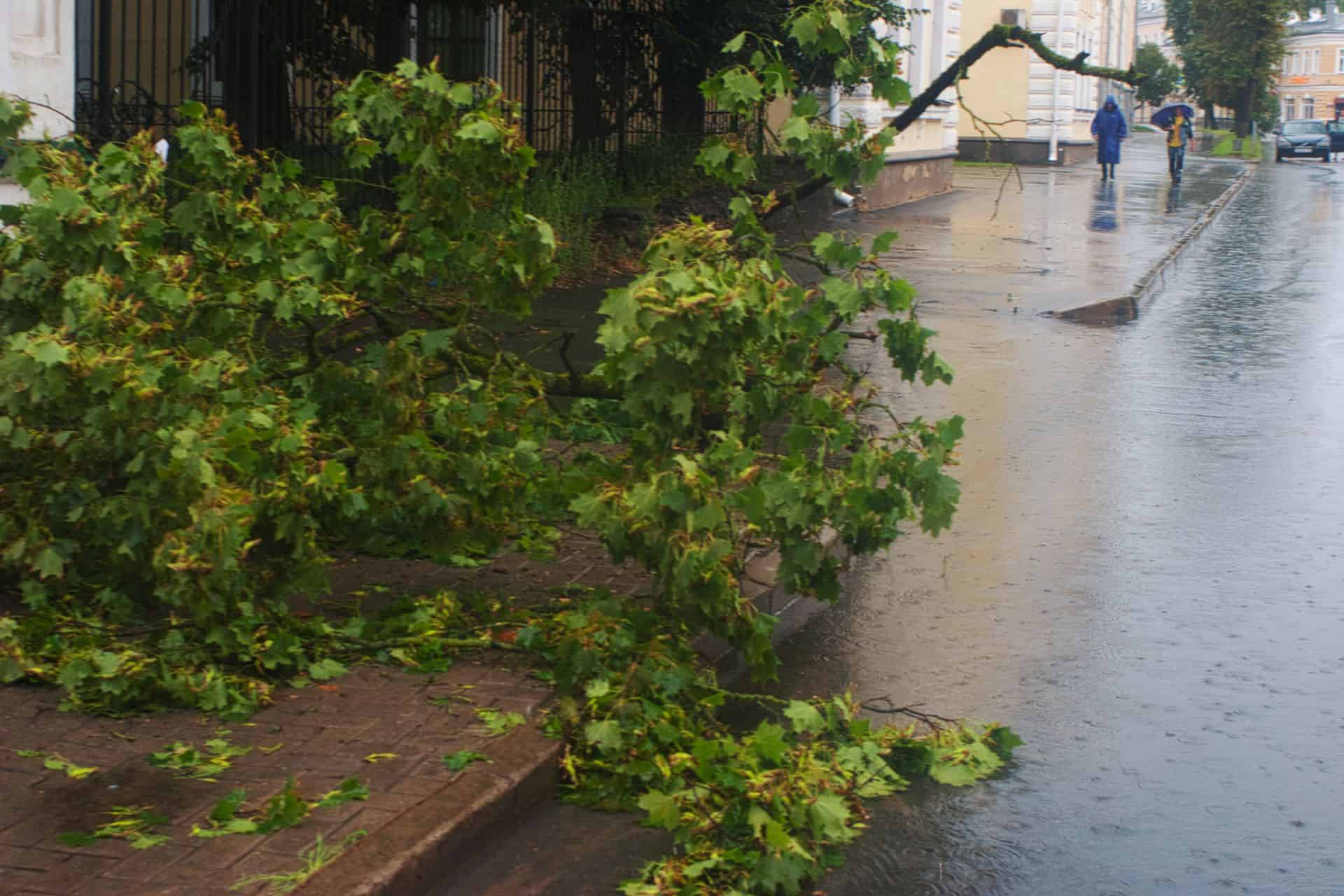 What to Do if Your Property Suffers Storm Damage
