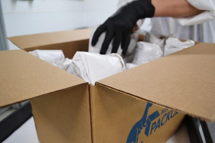 Contents Inventory Contents Packouts
