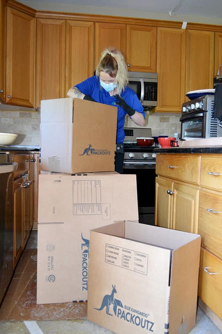 Contents Packouts