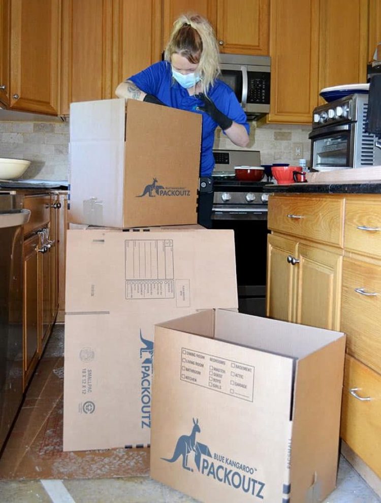 Contents Packouts