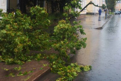a fall tree on a flooded sidewalk during a rain storm.